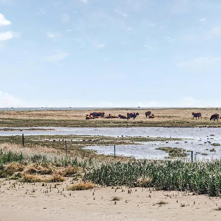 Stunning In With Wifi Havndal